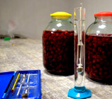 правила измерения